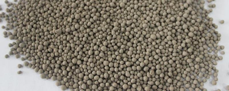 硅肥对作物生长有什么具体作用，它具有显著增强植物光合效率以及提高抗逆性等多种效果