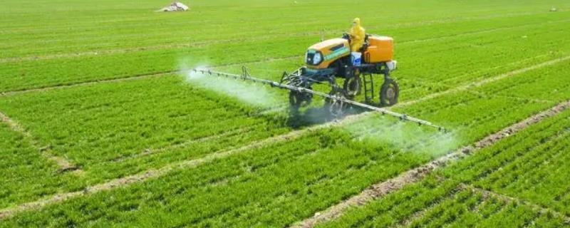 喷施农药时有哪些注意事项，这关键的3点对农户来说很重要