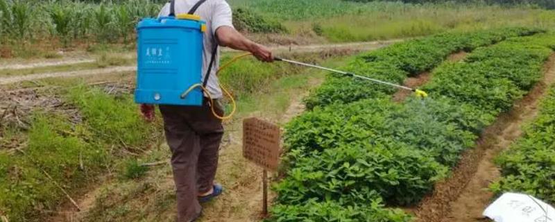 花生三遍药主要包含哪些农药成分，具体包括恶霉灵吡唑醚菌酯以及丙环唑等药物