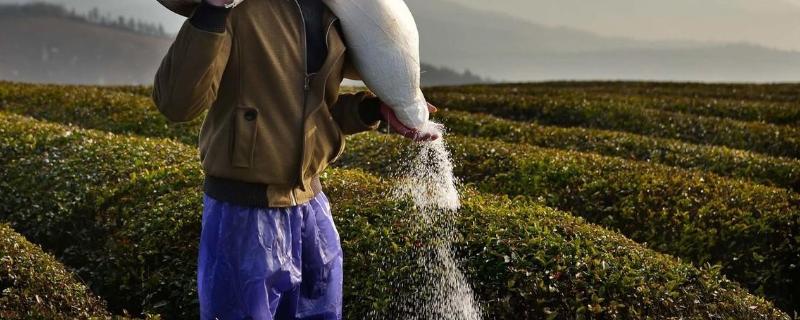 不同的气候条件与施肥有什么关系，多雨季节是否有助于肥料分解