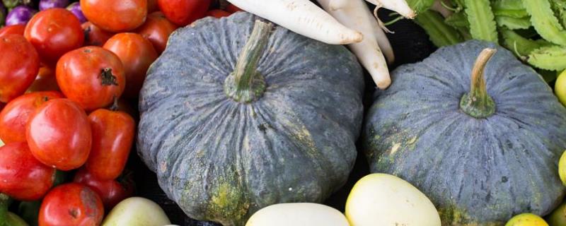 蔬菜种子应该如何进行催芽，将其包裹至湿布中后再埋入粪堆、利用发酵产生的高温度来达到催芽的目的