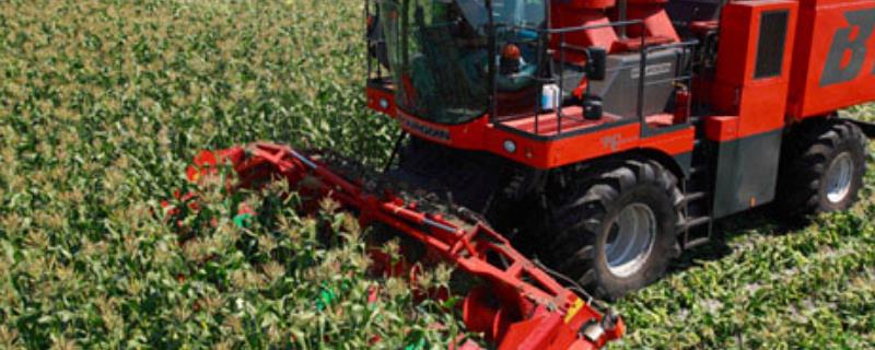 应该如何正确使用玉米收获机，必须达到额定转速时才能开始进行收获作业吗