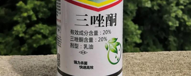 三唑酮有哪些具体的作用，它对锈病和白粉病具有预防以及铲除等相关作用