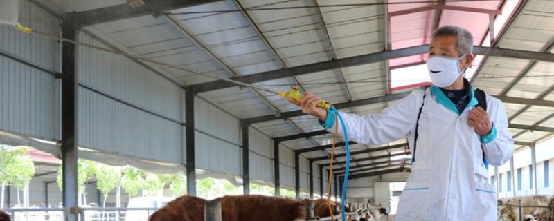 牛舍消毒用哪几种消毒液效果好，不同消毒液具体使用范围和使用量有什么区别