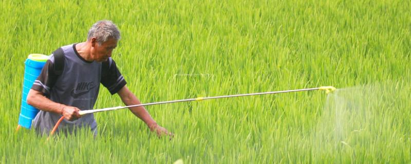 代森锰锌的具体作用有哪些，它可以有效增强植物抵抗病害的能力吗