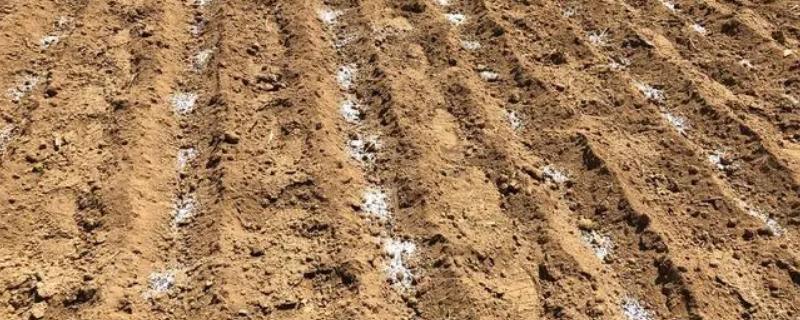 化肥的科学施用方法有哪些，这四个操作错误一定要努力避免