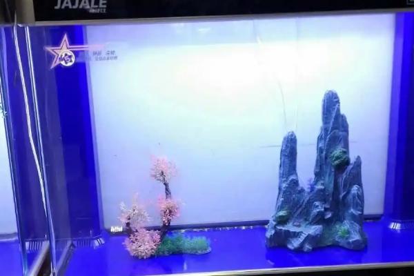 底滤鱼缸的水位如何调节，在溢流区放氧可降低水位