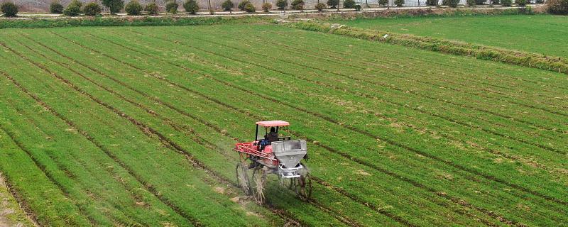 磷酸二氢钾的使用注意事项有哪些，它能否和氮素化肥以及微肥和农药进行混施