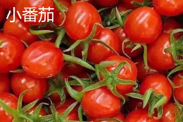 夏季如何避免蔬菜早衰，可采取清沟排渍、灌水降温、追施肥料等措施