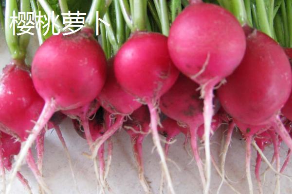 夏季如何避免蔬菜早衰，可采取清沟排渍、灌水降温、追施肥料等措施