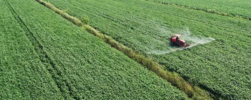 烯草酮在土壤中的残留天数是多少，它的残留持续时间大概为3至26天左右