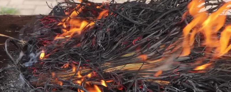 小灰肥到底是什么种类的肥料，它也就是我们常说的草木灰