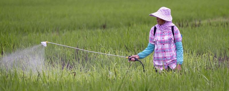 呋喃丹具体的防治对象，主要可以防治蚜虫水稻螟虫稻蓟马与玉米螟等害虫