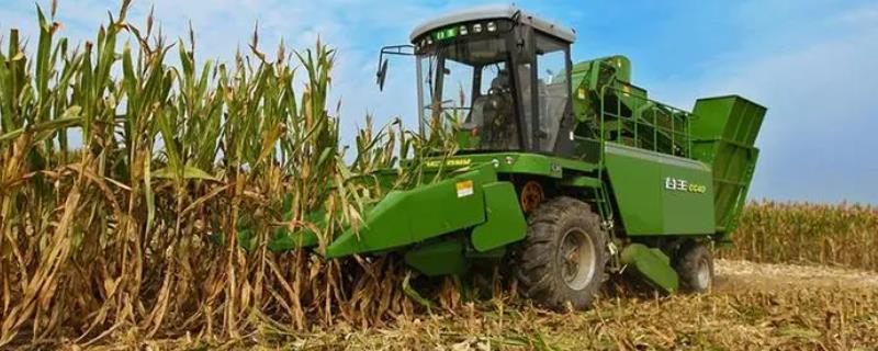 玉米收割机传送带折断的原因有哪些，主要是因为无级变速机械技术状态处于不佳水平