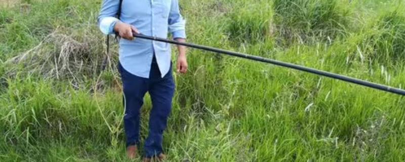 百草枯与敌草快各自具备什么特点，百草枯与土壤接触后会产生钝化反应、敌草快与土壤接触后则会快速失活