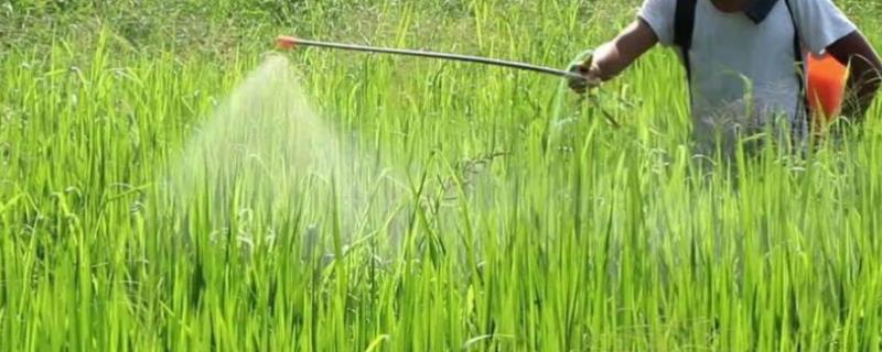 草铵膦对人体的毒性真的很大吗，只要合理使用的话它的毒性其实比较小