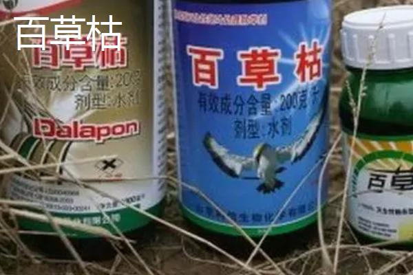百草枯与敌草快的特点,百草枯与土壤接触后会钝化、敌草快与土壤接触后会快速失活