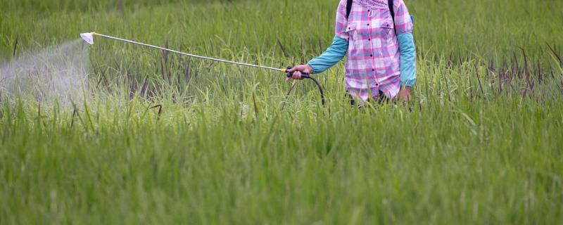 甲维盐是否可以用来防治蚜虫，它确实能够对蚜虫起到有效的防治作用