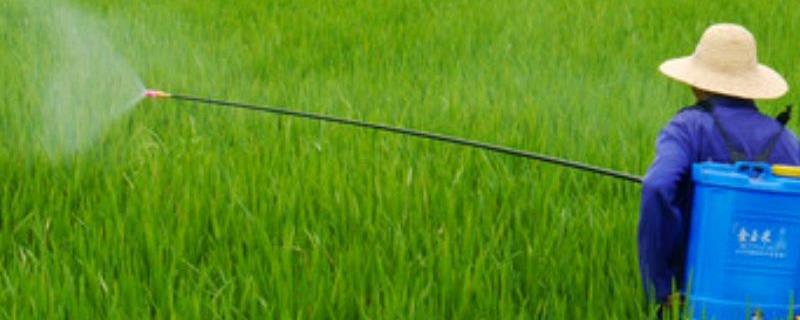 该如何科学鉴定除草剂的毒性强弱，可以采用喷雾法或者液浸法等多种方式