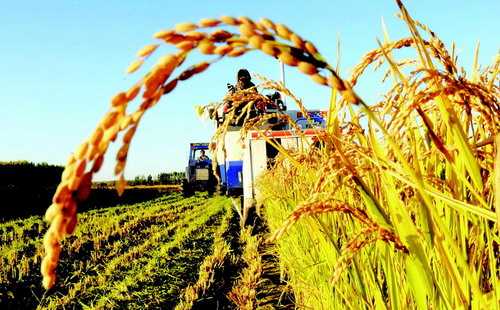 农业创业的关键点可简化为三个:钱、人、模式。