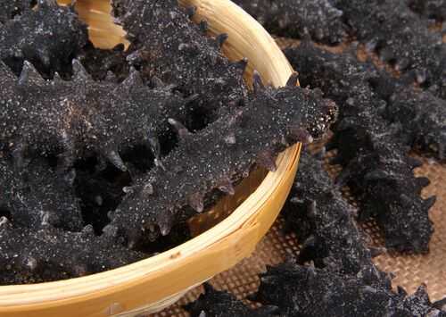 2016养海参赚钱吗?