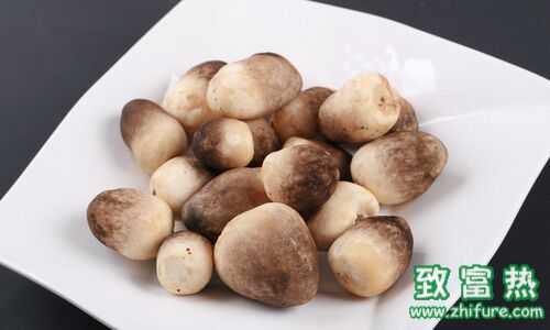 孕妇可以吃草菇吗?草菇孕妇吃怎么做?