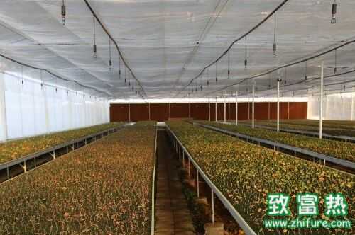 2016农村创业怎么选项目?