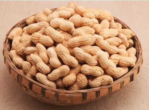 2016种花生赚钱吗?