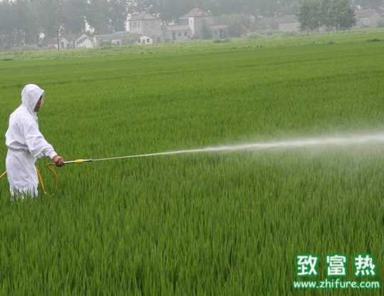 农药的小常识你知道多少?