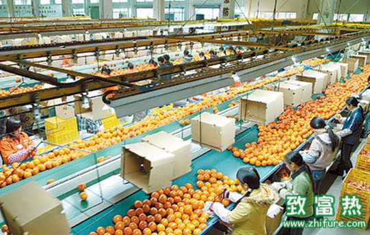 常见果品加工方法