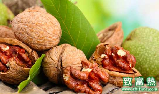 核桃的营养价值和功效 每天吃多少核桃最合适