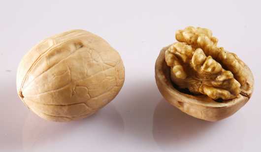 核桃的营养价值和功效 每天吃多少核桃最合适