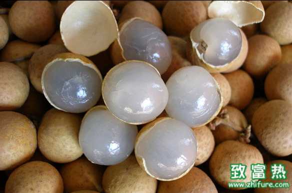 龙眼和桂圆的区别?龙眼不能和哪些水果一起吃?