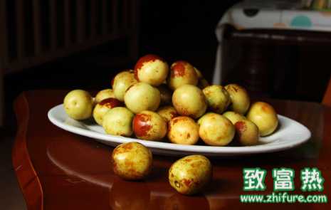 枣树及枣的价值与作用 红枣的食疗功效