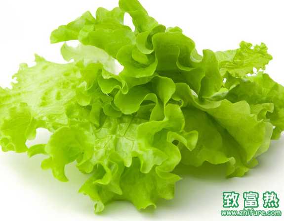 生菜生吃的好处有哪些?为什么汉堡包里面要夹生菜