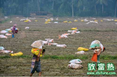 冬季选肥料的小技巧