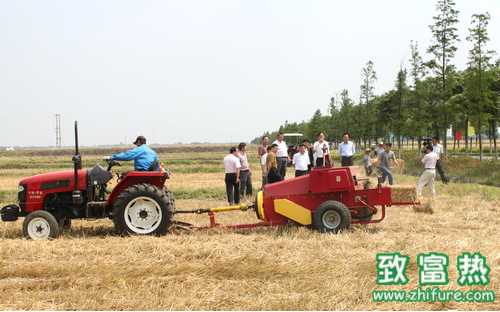 2016年回乡创业选择什么好?