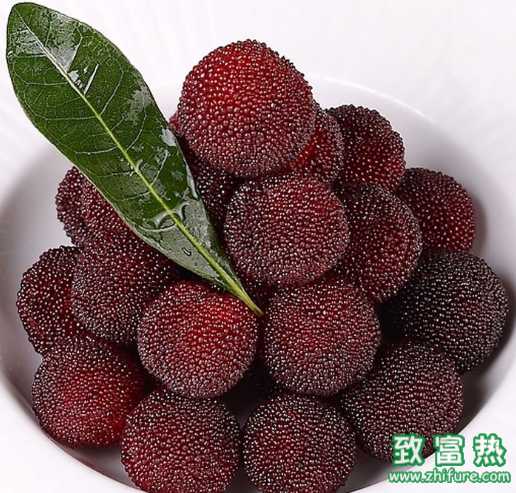 吃杨梅要洗吗?杨梅籽能直接吃掉吗?