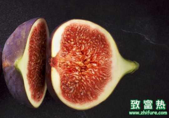 无花果治痔疮的方法?无花果叶子在哪买