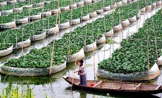 2017养黄鳝赚钱吗?2017养黄鳝前景及市场价格行情分析