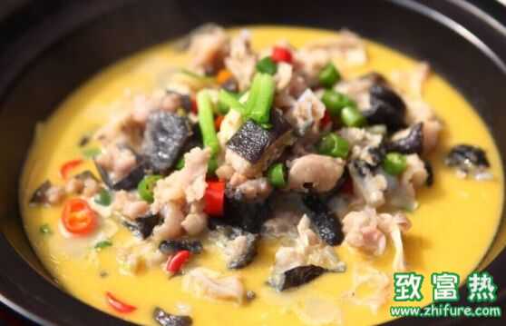 娃娃鱼能吃吗?有毒吗?