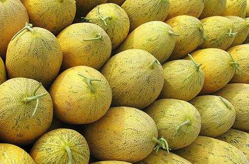 甜瓜什么时候采收最好?