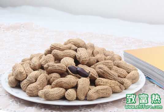 黑花生科学种植技术