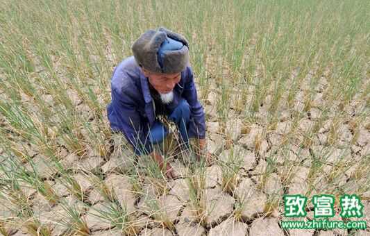 为什么农民愿意出去打工不愿意在家务农?