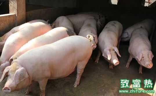 掌握这些农村政策,创业再也不难了!