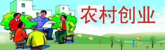 回乡创业做什么好?农村致富新点子告诉你