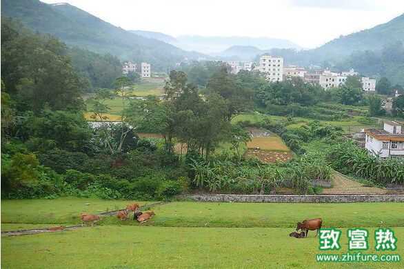 2017年农村小本创业可行性项目有哪些?