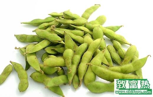 2017种毛豆赚钱吗?2017种毛豆前景及市场价格行情分析