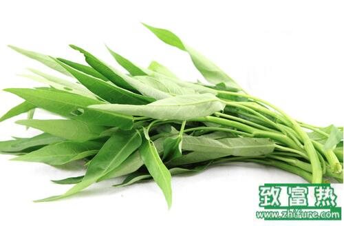 2017种空心菜赚钱吗?2017种空心菜前景及市场价格行情分析