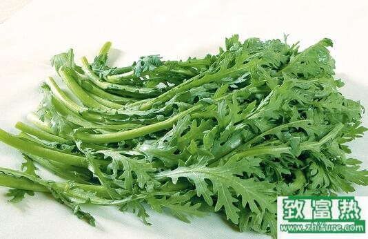 2017种茼蒿赚钱吗?2017种茼蒿前景及市场价格行情分析